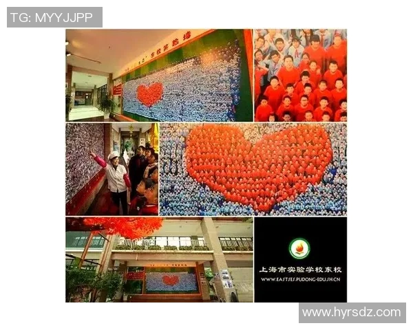 深圳排球队防守革新之路探索与实践的深度分析与展望 深圳排球队防守革新之路探索与实践的深度分析与展望