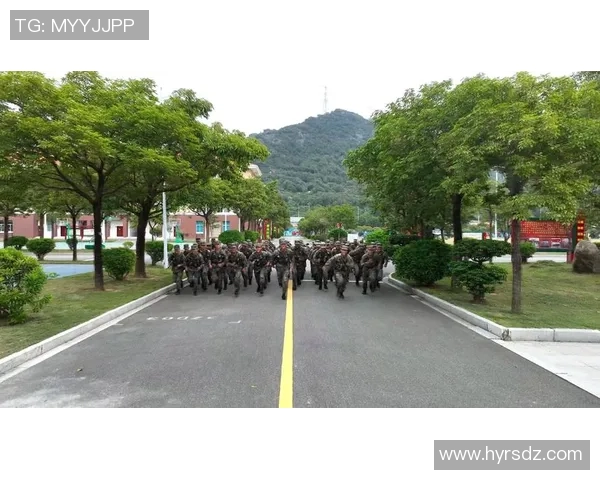 南京排球队的蜕变之路城市联赛中的奋斗与希望